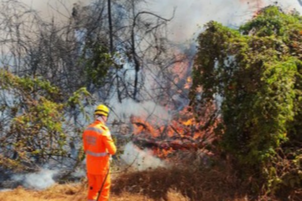 Incêndio de grandes proporções na Fazenda Fortaleza põe em risco plantação de café