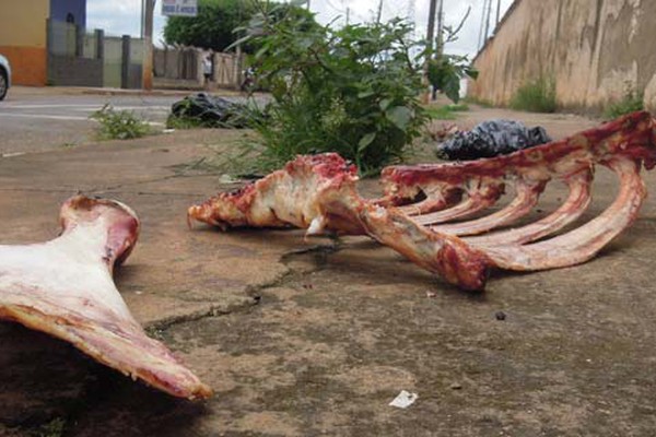 Ossos de gado espalhados pela rua Vereador João Pacheco chamam a atenção e incomodam
