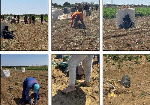 Força-tarefa resgata trabalhadores africanos em condições análogas às de escravo no Triângulo Mineiro
