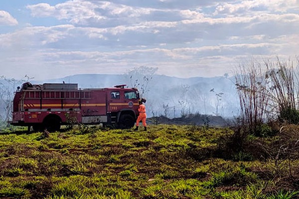 Incêndios em Patos de Minas não param e continuam causando danos ao ambiente e à população