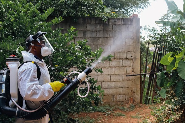 Patos de Minas tem mais de 800 notificações de dengue em uma semana e epidemia continua