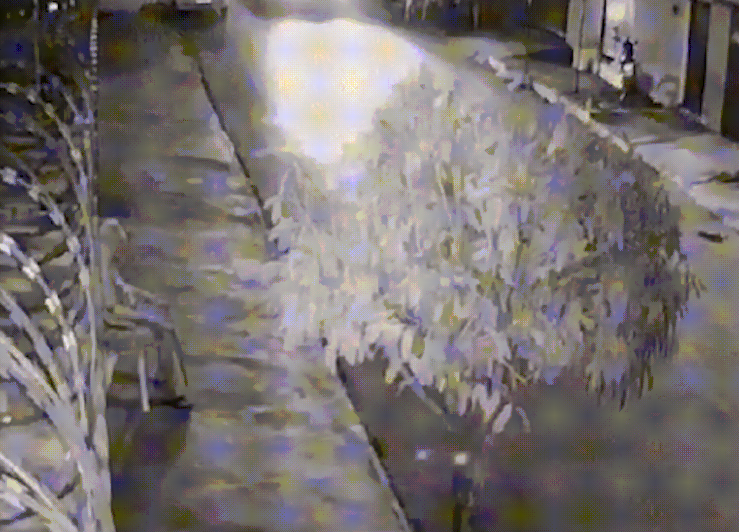 Vídeo impressionante mostra caminhonete desgovernada quase atropelando idoso em Patos de Minas