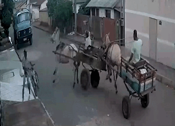 Vídeo mostra batida entre duas carroças em Carmo do Paranaíba; leiteiro ficou ferido